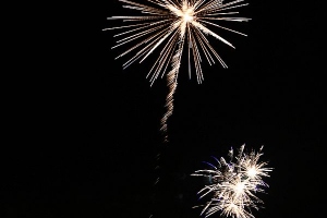 image15